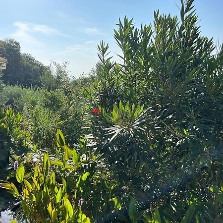 Agriturismo Al Robale Almenno San Bartolomeo Eksteriør bilde