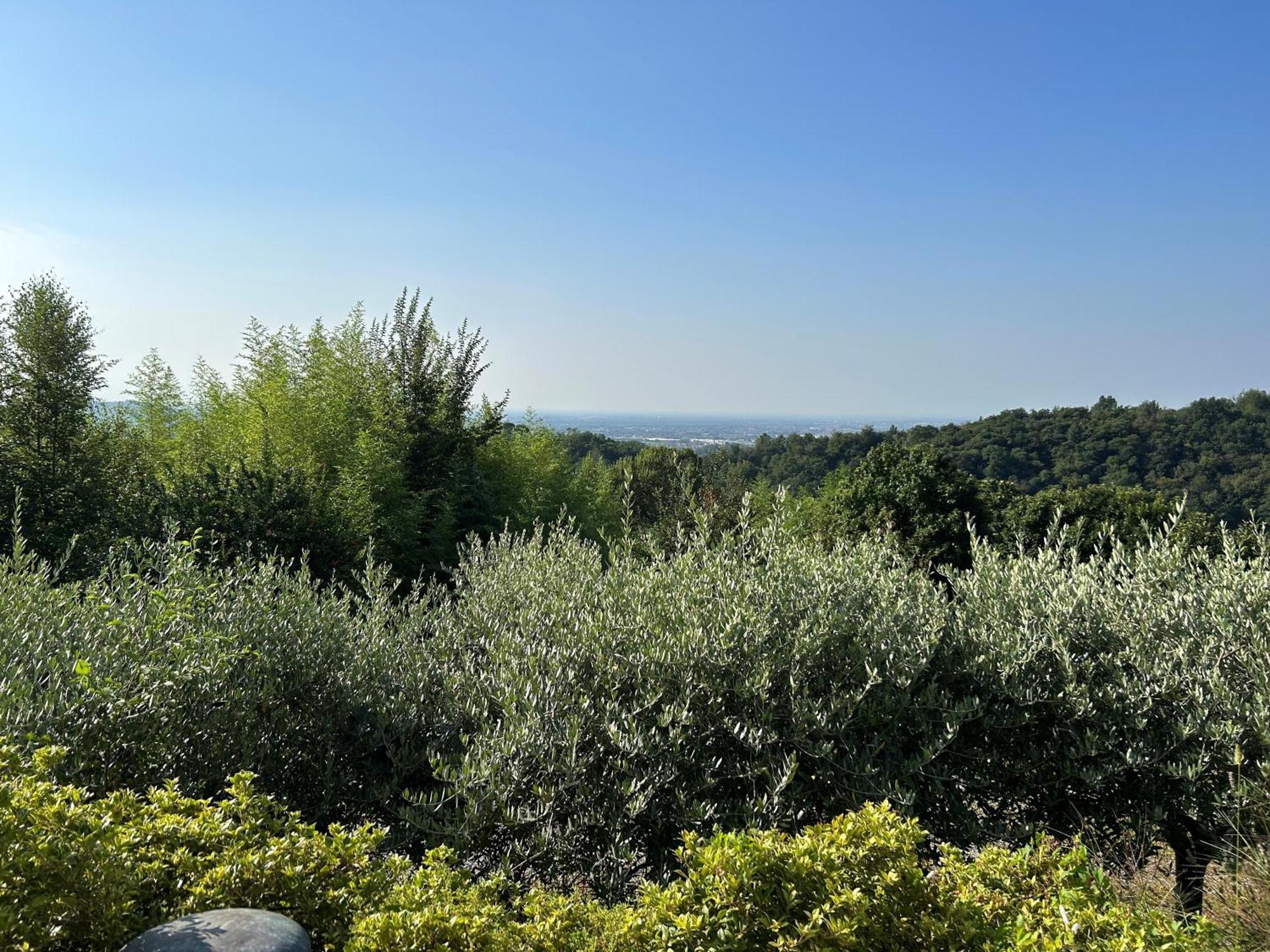 Agriturismo Al Robale Almenno San Bartolomeo Eksteriør bilde